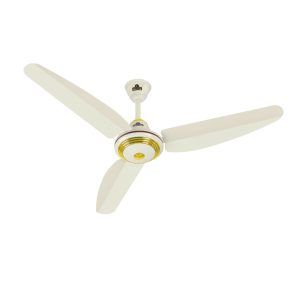 Indus Fan fancy